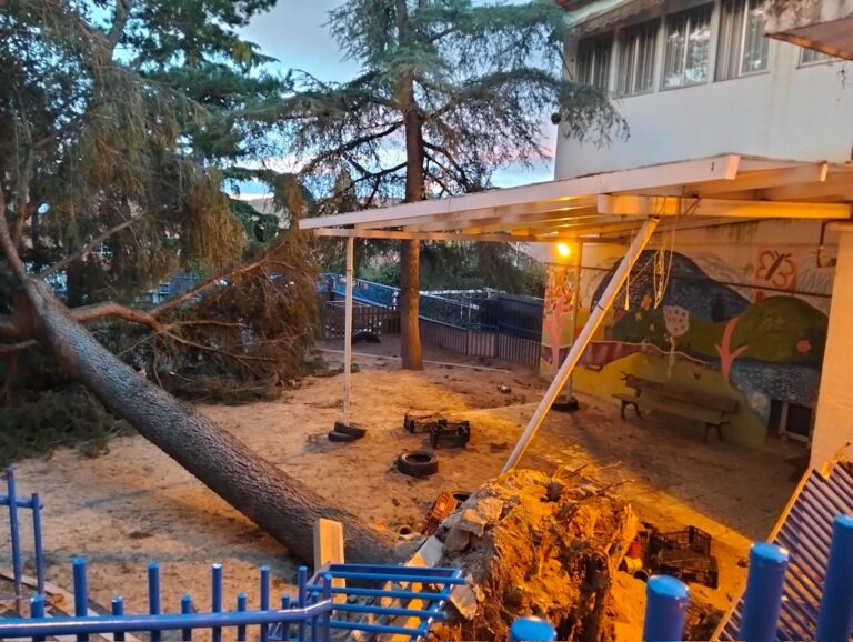 Un árbol destroza el patio de El Tomillar: la Comunidad lleva dos semanas sin hacer caso